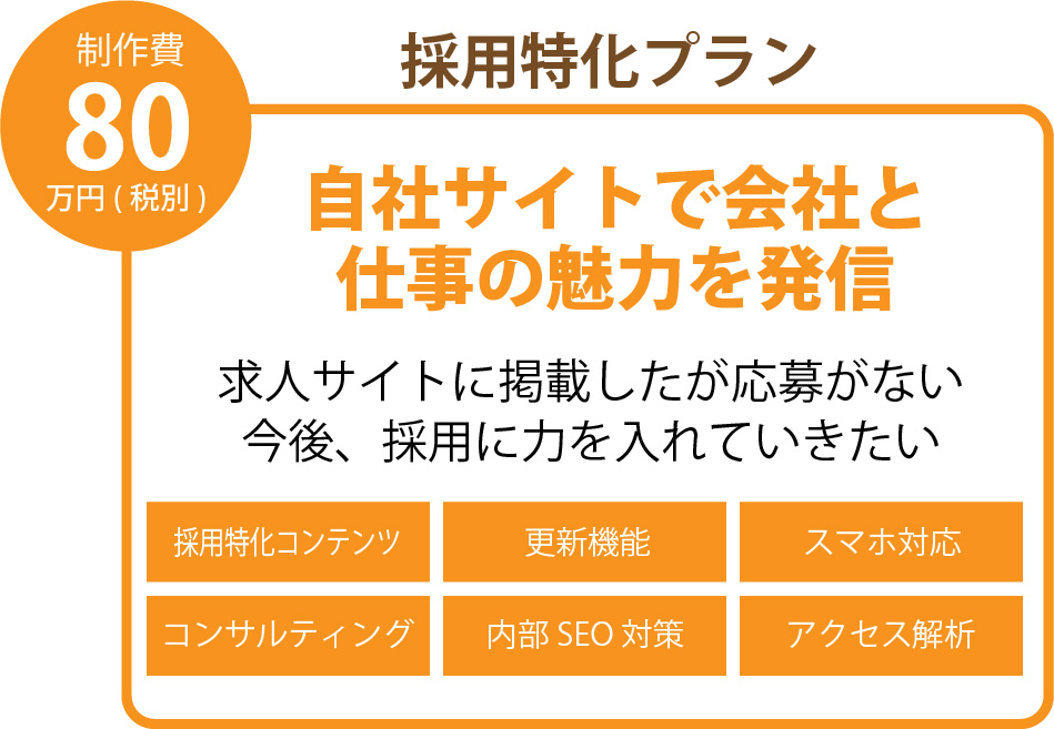 80万円使用特化プラン